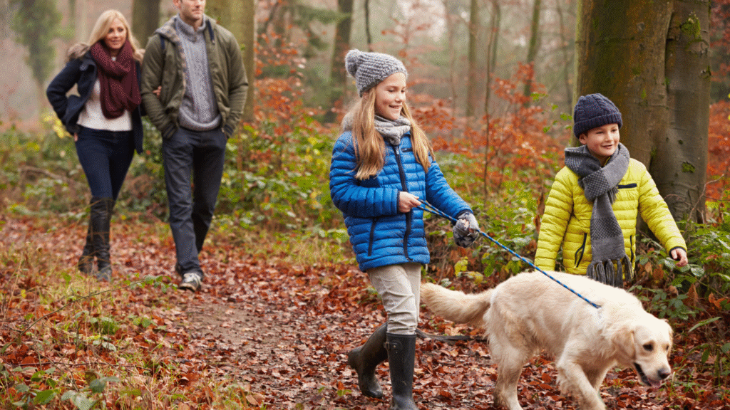 A woodland walk with kids and a dog