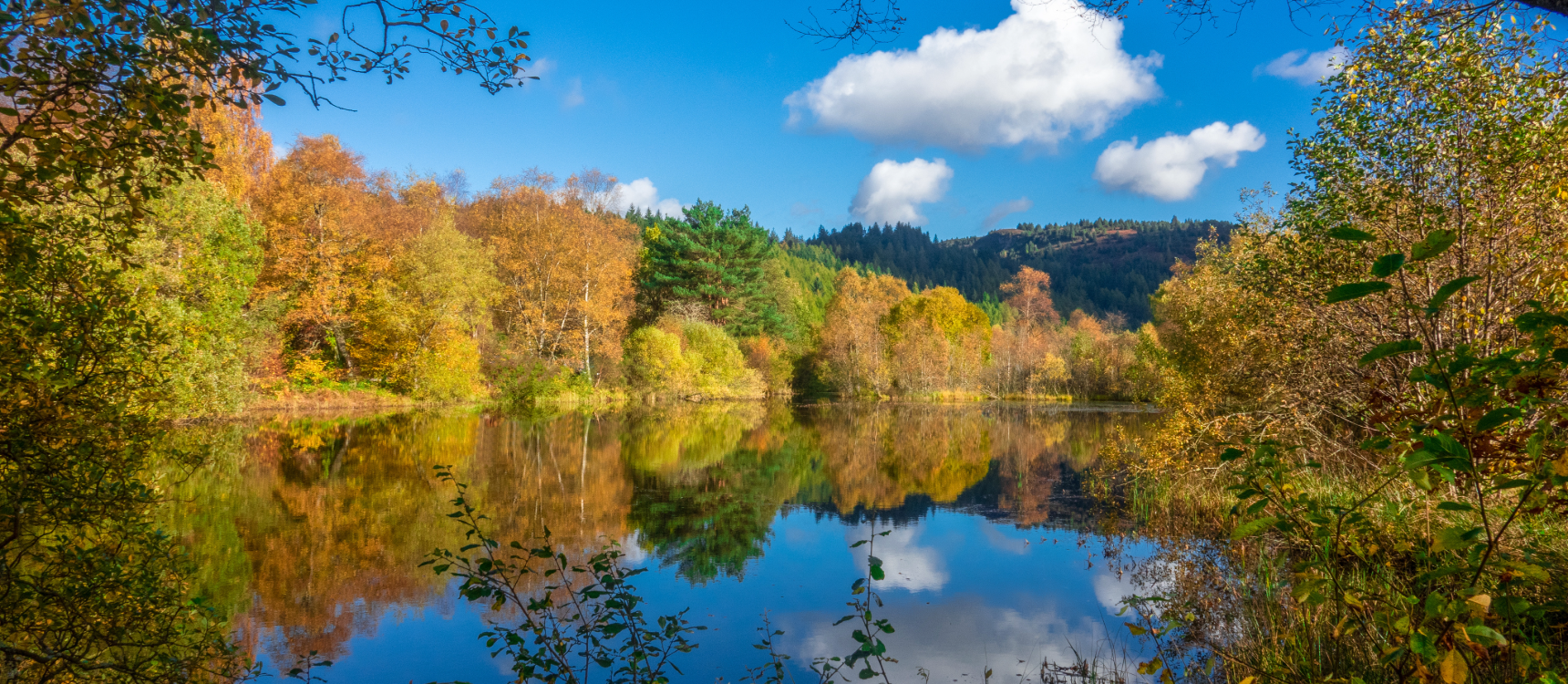 Autumn at Old Smiddy Holiday Cottage Loch Katrine Scotland