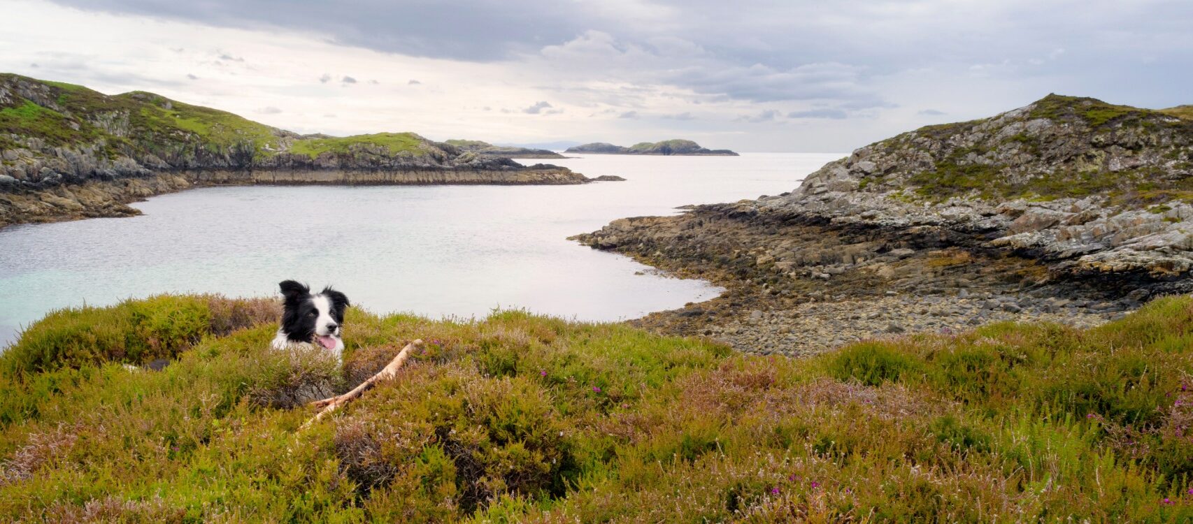 Pet Friendly Getaways Exploring Scotland with Your Furry Friend 1 e1756387057820