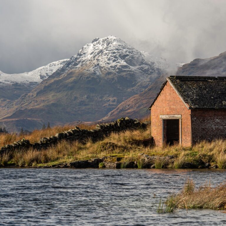 Pet Friendly Getaways Exploring Scotland with Your Furry Friend 7